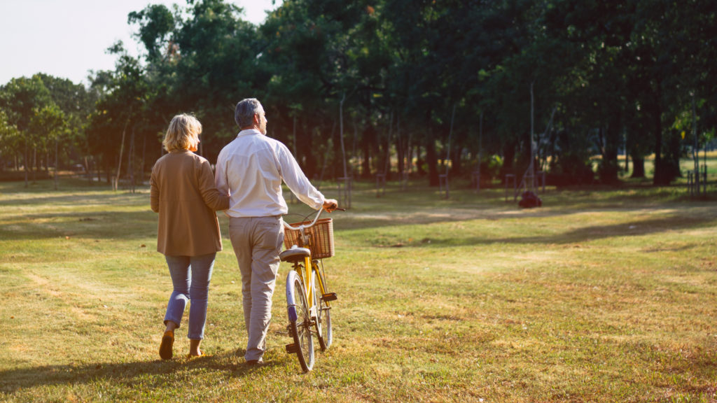 An elderly couple is walking in the meadow, the man is pushing a bicycle.