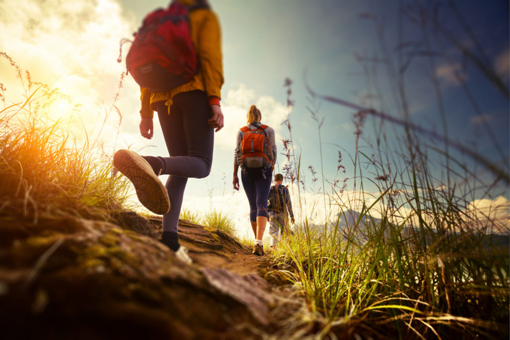 A group of hikers who are walking in the mountains; a picture taken from the ground.