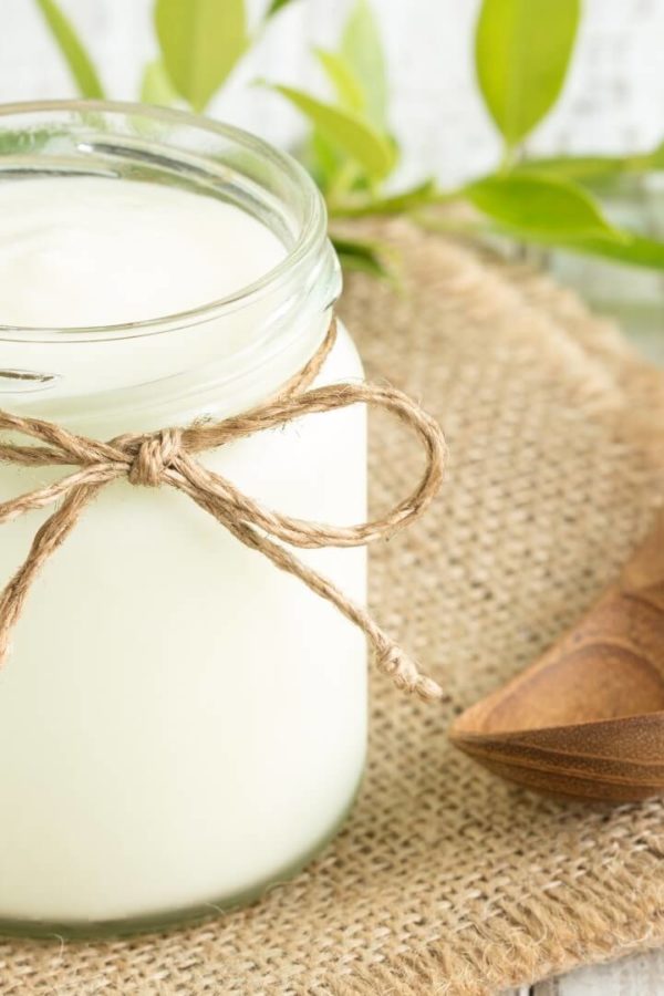 Jogurt in kefir vsebujeta veliko probiotikov.