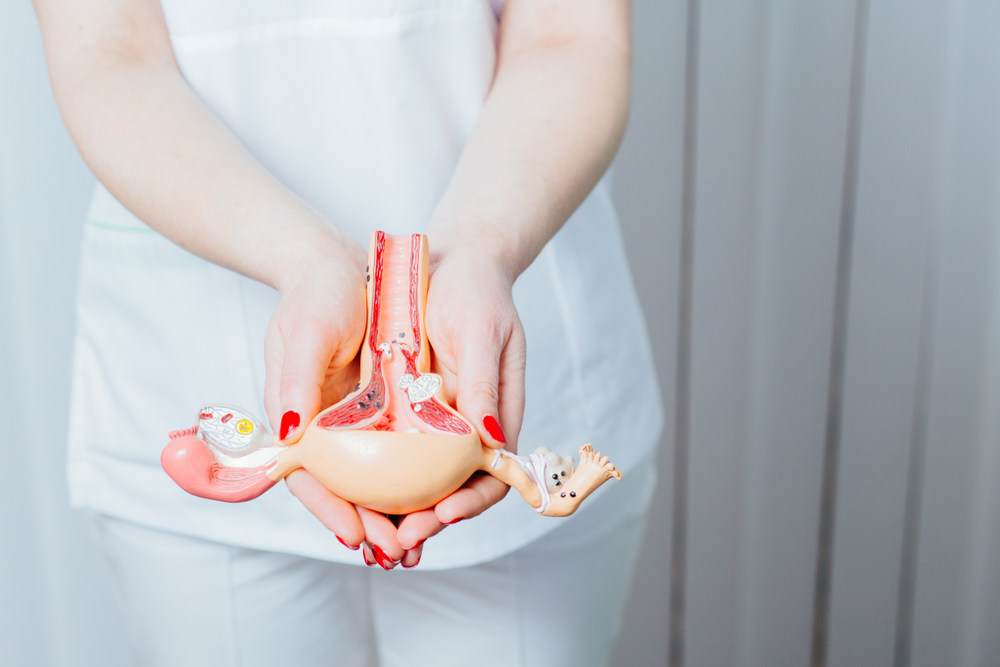 Zdravnica drži v rokah plastični jajcevod, kjer lahko opazimo endometriozo.
