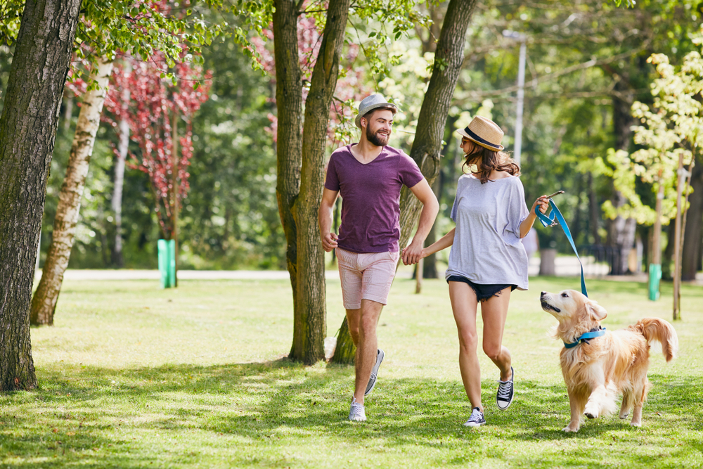 A young couple is walking hand in hand with a dog in the park.