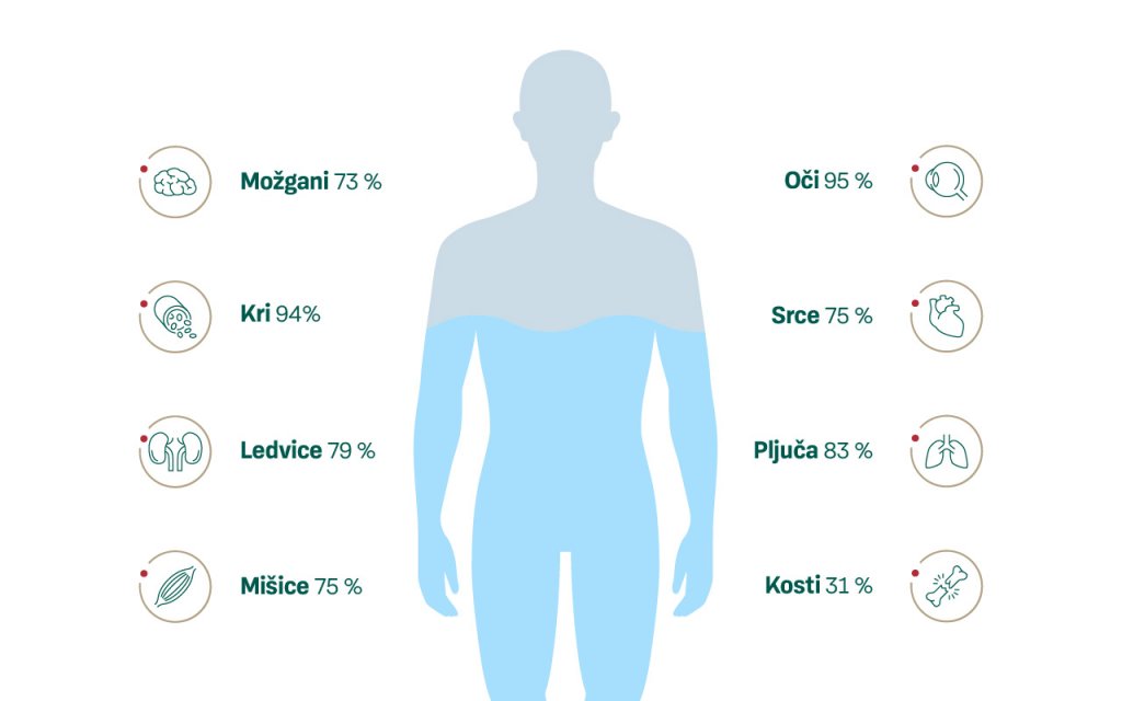 Infografika prikazuje vodo v določenih organih in delih človeškega telesa.